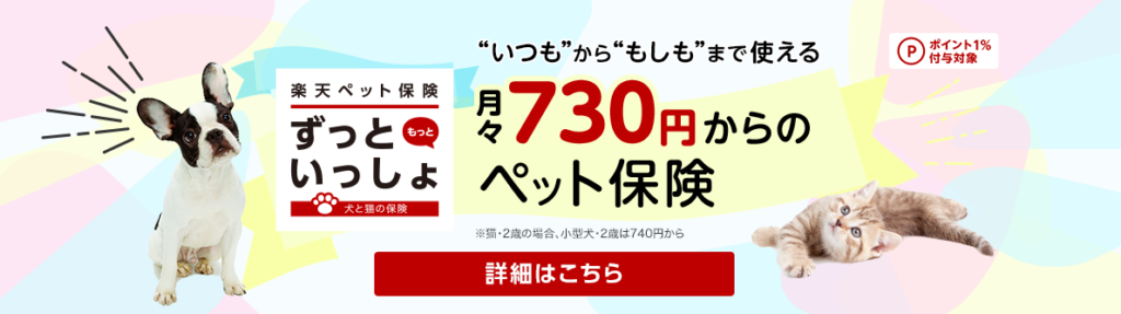 楽天ペット保険 ずっといっしょ もっと 加入者インタビュー 申し込み後の流れは 保険証書は たまママのわくわくマネー講座