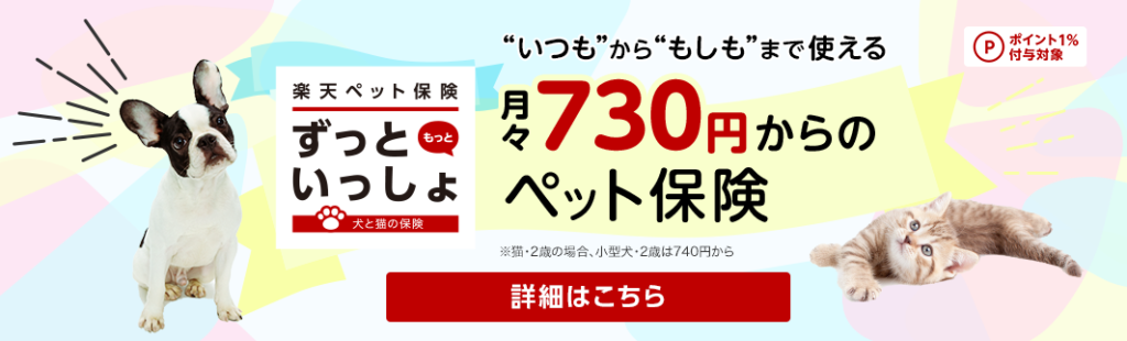 楽天保険spu攻略 月額保険料最安値はこれだ 新規加入可能な保険を一覧表で徹底比較 21年8月最新版 たまママのわくわくマネー講座